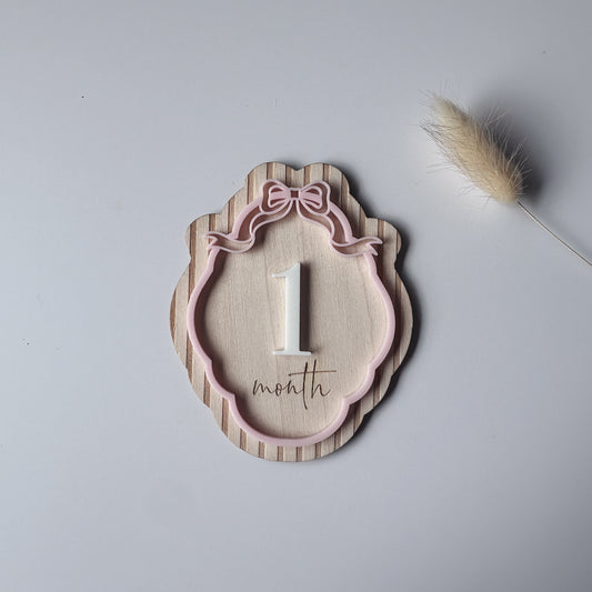 Bow Milestone Plaques - Monthly Wooden Set