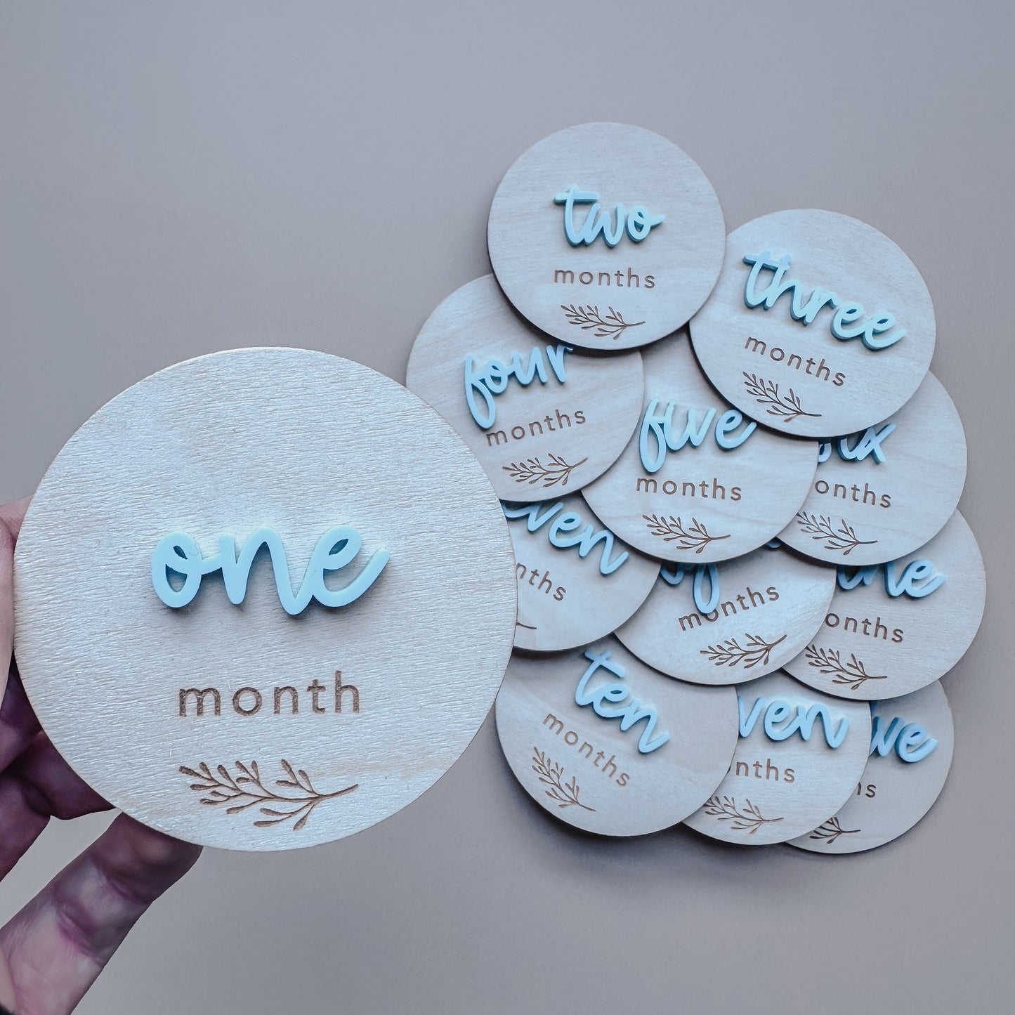 Milestone Plaques - Monthly Wooden Set